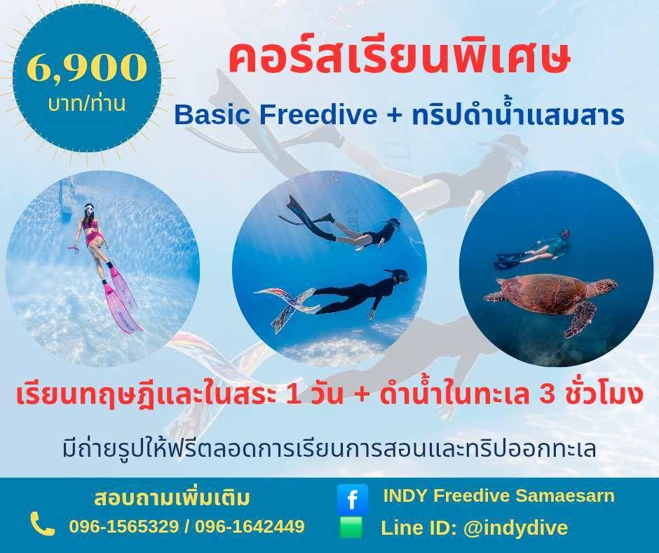 คอร์สเรียนดำน้ำที่แสมสาร